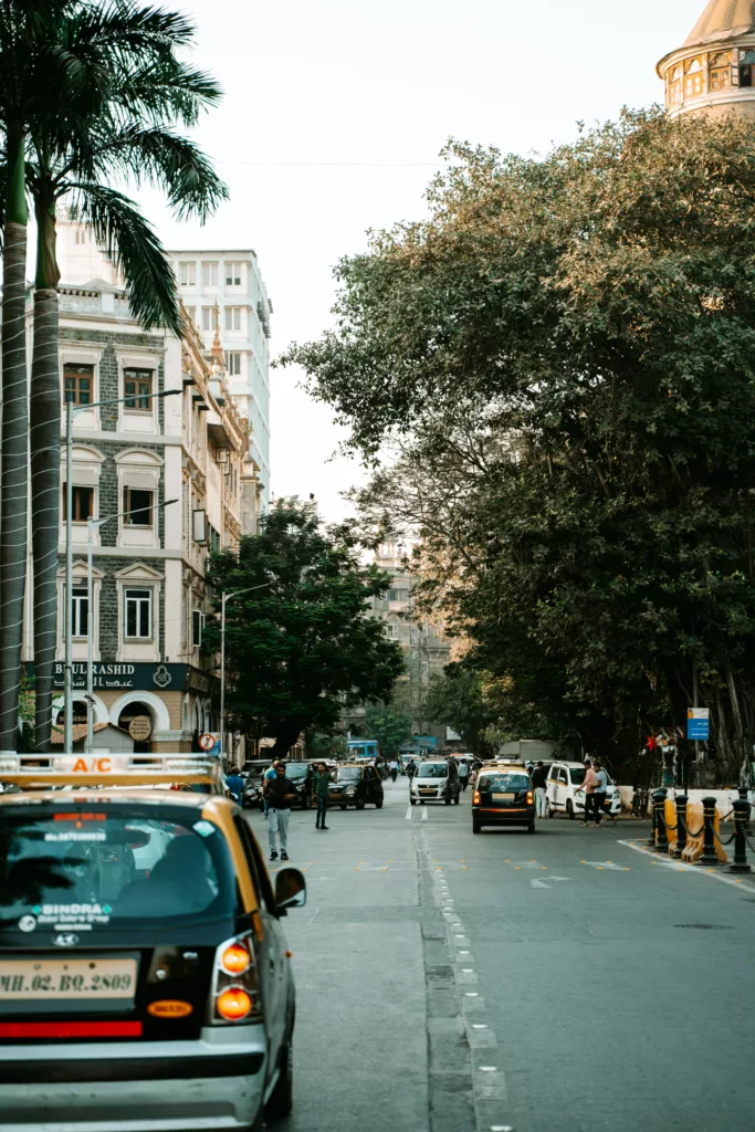 Indisk gate med biler og trær