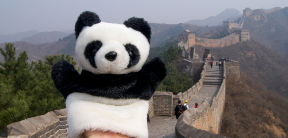 Pandabamse med den kinesiske mur i bakgrunnen