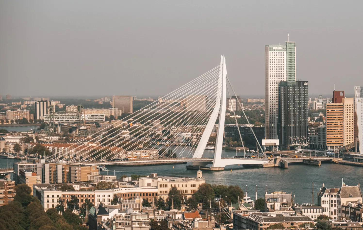 Skyline Rotterdam med grå himmel
