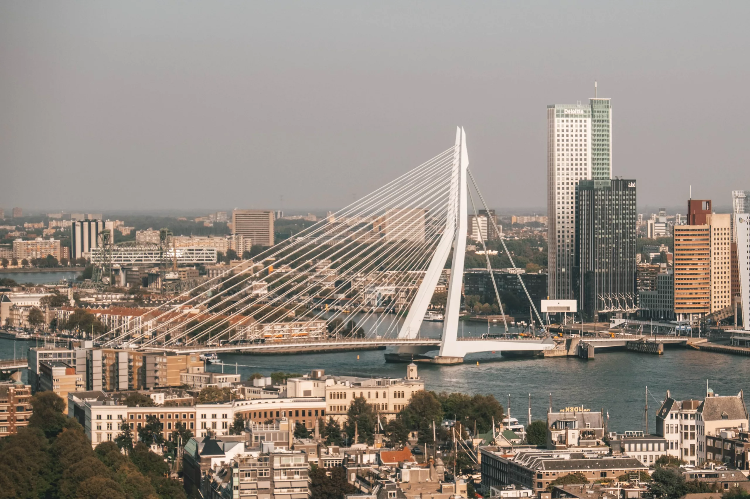 Skyline Rotterdam med grå himmel