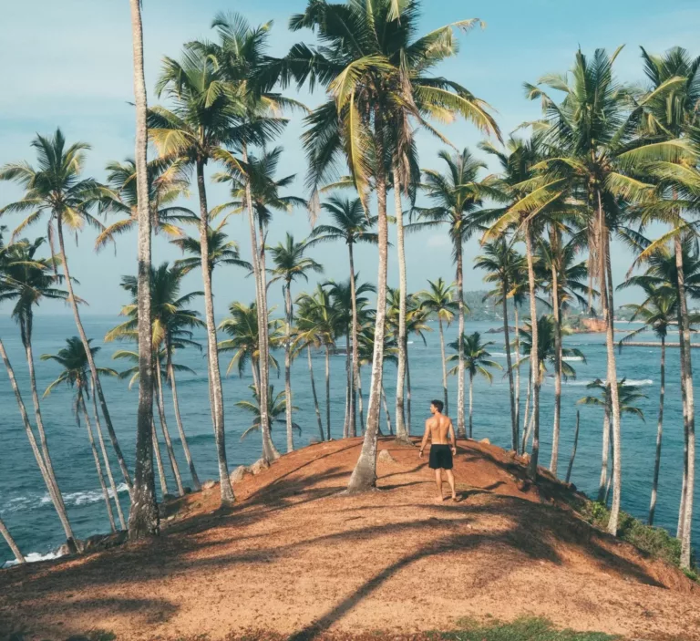Bakke med palmetrær og mann med hav i bakgrunnen
