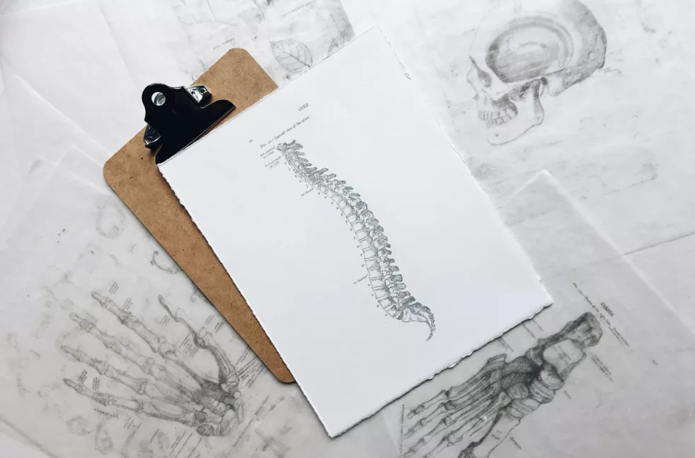 Blokk som ligger på anatomiske tegninger med tegning av ryggrad over seg