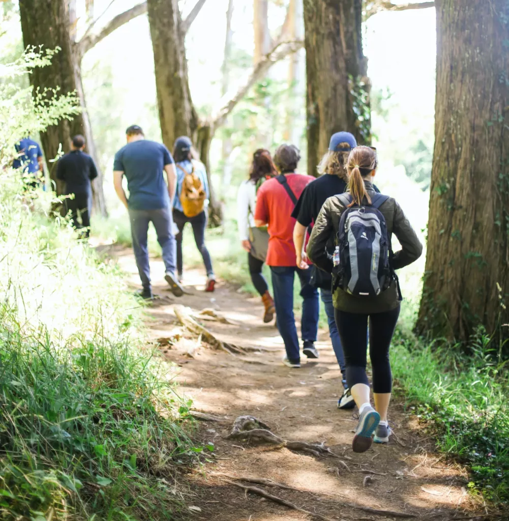 Personer sett bakfra som går på tur i skogen