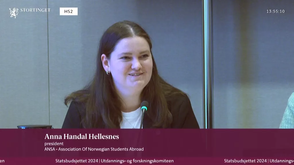 Anna Handal Hellesnes under høring på Stortinget