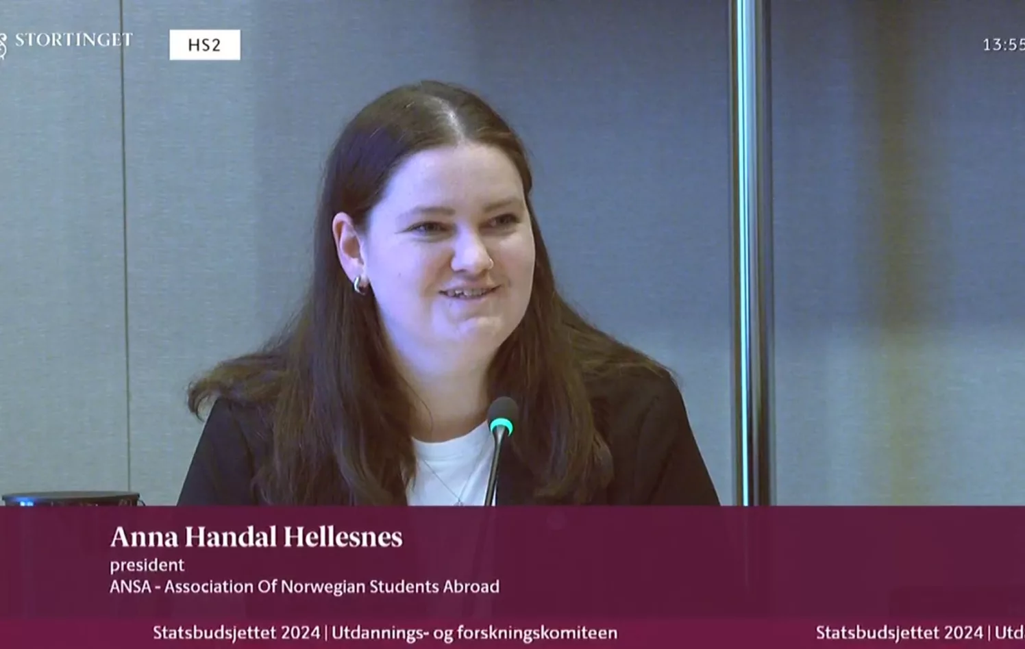 Anna Handal Hellesnes under høring på Stortinget