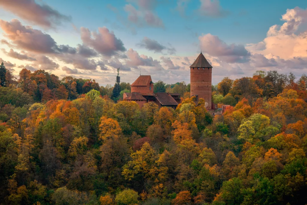 Tårn fra et slott vises blant trær og skog