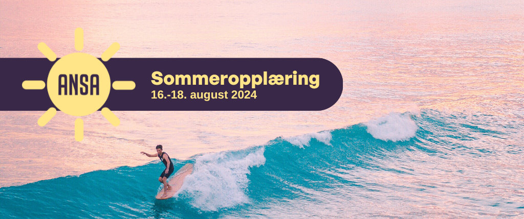 Sommeropplæring 2024 banner