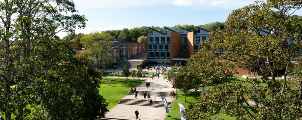 University of Sussex