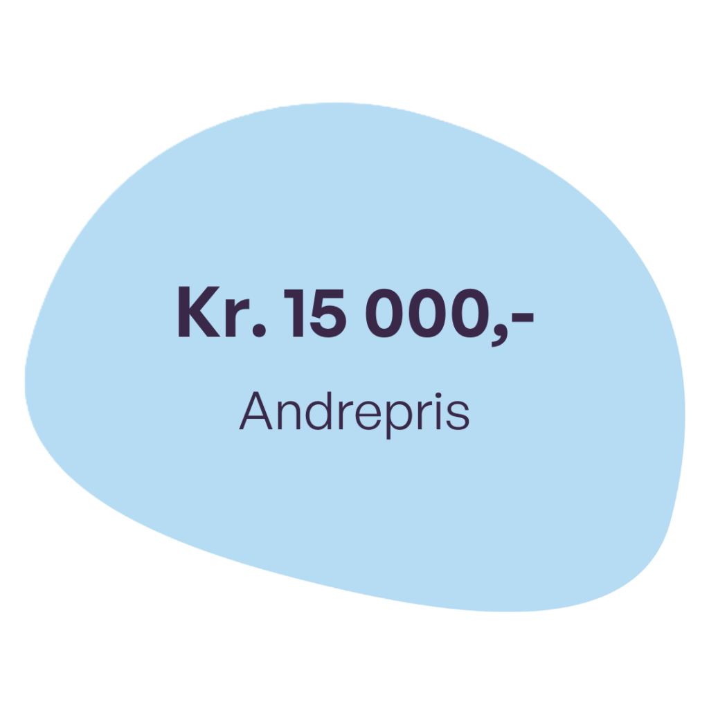 Juvenarte andrepris beløp