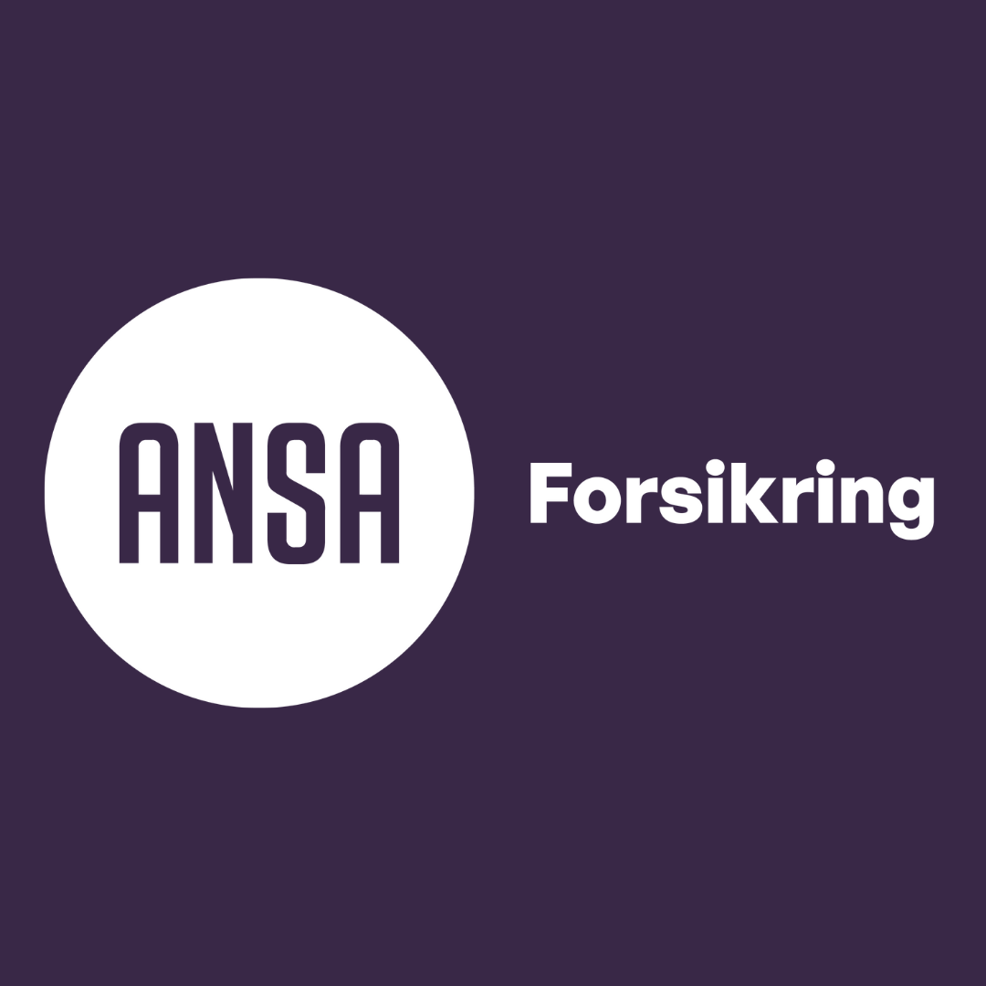 ANSA Forsikring personkort bilde
